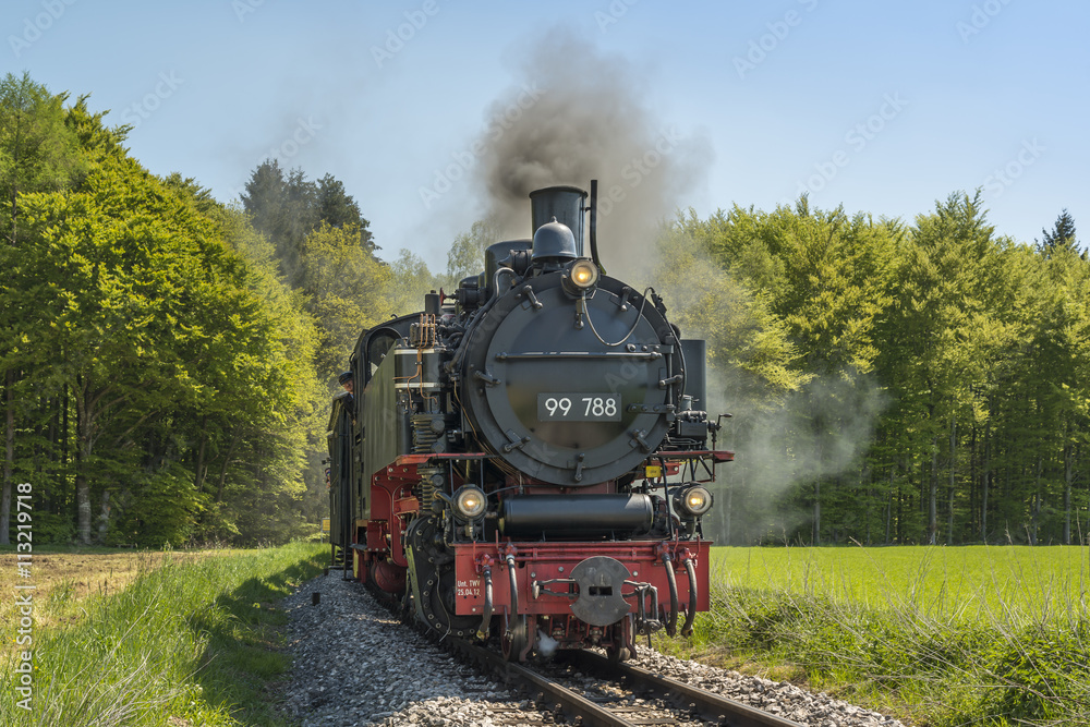 Fototapeta premium Öchsle Railway | Górna Szwabia