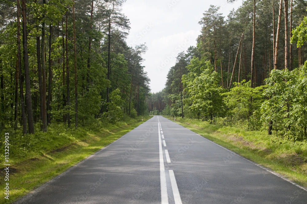 Polish local road Polish local road