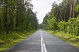Polish local road