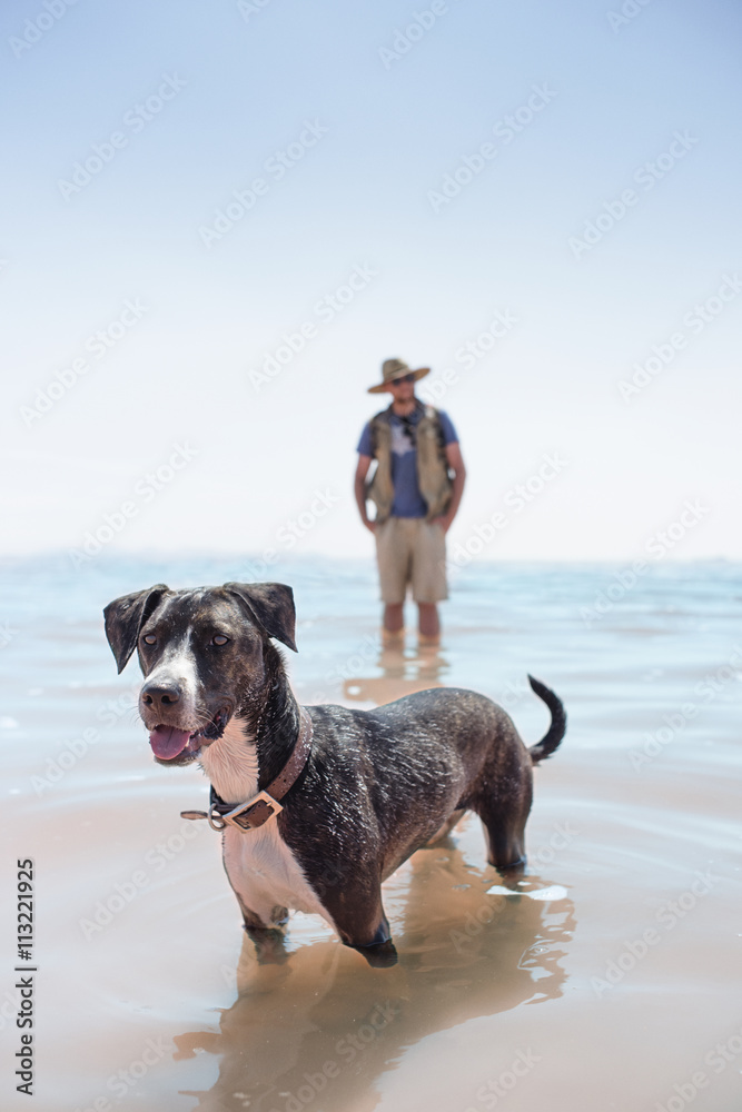 Young man with dog standing in water Young man with dog standing in water