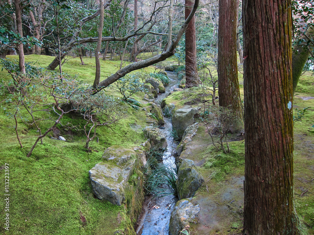 Obraz premium japan garden