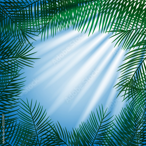 Frame of palm leaves