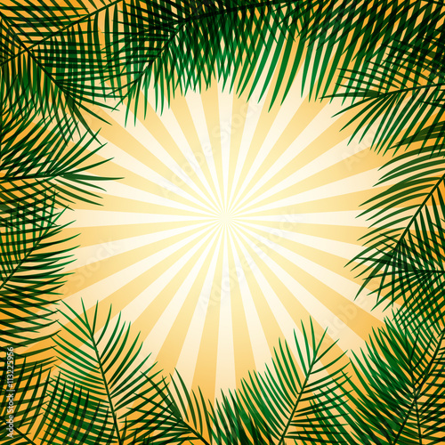 Frame of palm leaves