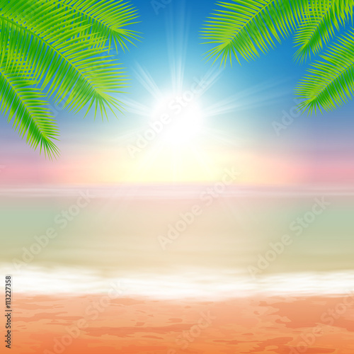 Beach and tropical sea with palmtree leaves