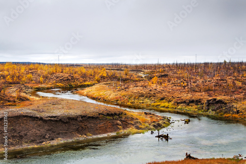 Fototapeta Naklejka Na Ścianę i Meble -  The river flows through the polar tundra.