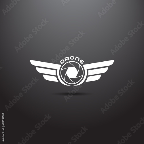 Quadrocopter business icon