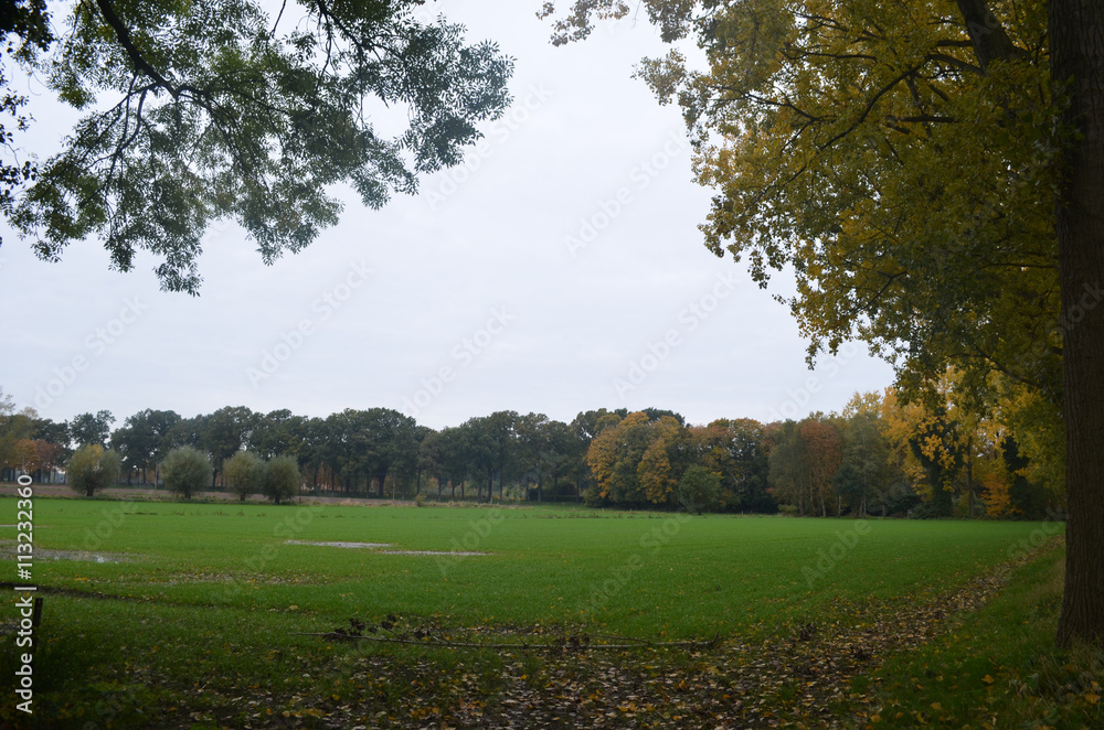 Fotografie meadow in countryside landscape