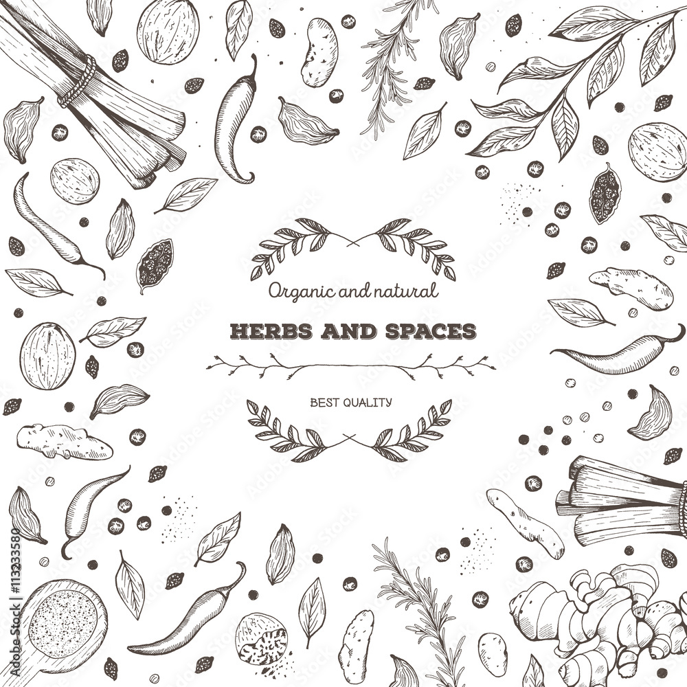 Vector card design with hand drawn spices and herbs. Vector card design with hand drawn spices and herbs.