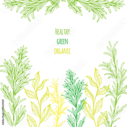 Vector card design with hand drawn herbs.