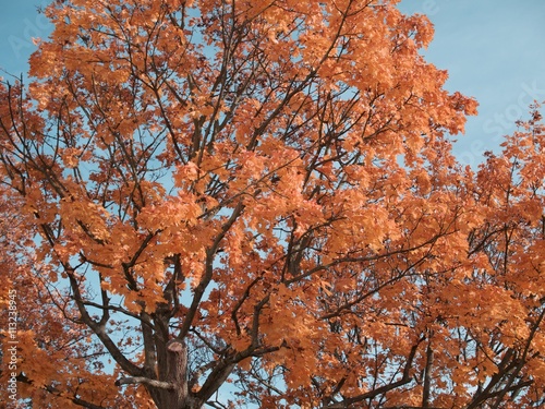 Berlin im Herbst