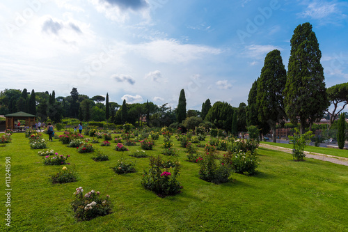 A visit to the municipal Rose Garden in Rome (in italian Roseto comunale), a public park on the Aventine Hill, between the Orange Garden and the Circus Maximus. photo