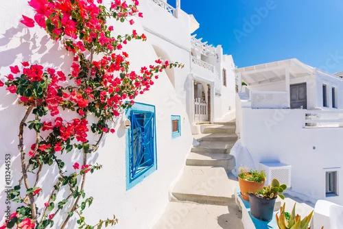 Obraz Tradycyjny cycladic bieląca ulica z kwitnącym bougainvillea w lecie, Santorini, Grecja