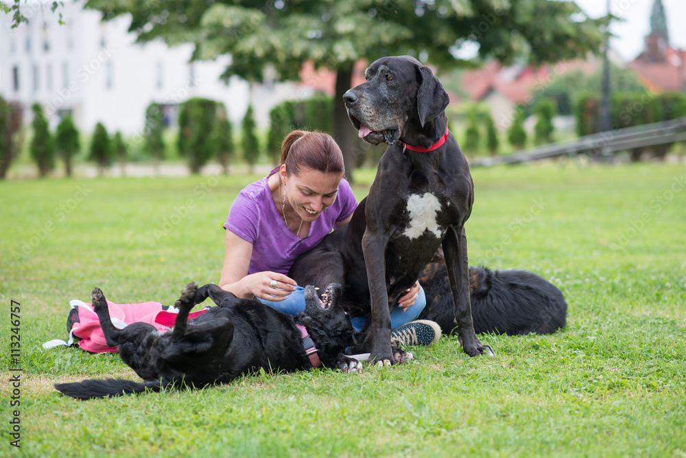 happy girl siting and enjoying with her dogs in park.Under exposed photo happy girl siting and enjoying with her dogs in park.Under exposed photo