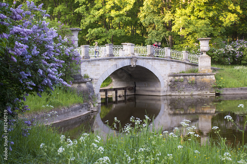 The old historic bridge in Pavlovsk Park St. Petersburg. Royal Park, UNESCO world heritage site. Spring mood with views of blooming lilacs the old bridge. photo