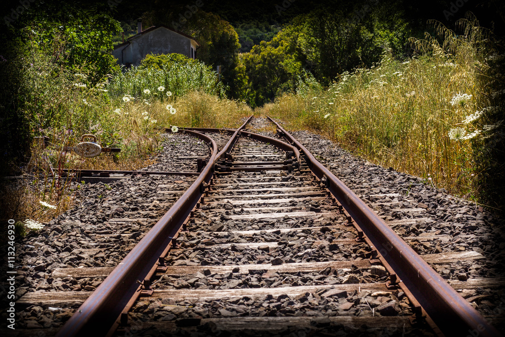 Obraz premium il bivio