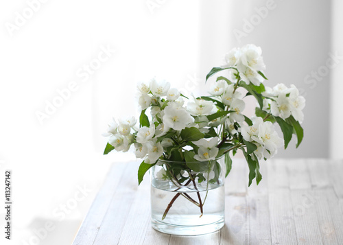Foto Pfeifenstrauch in der Vase
