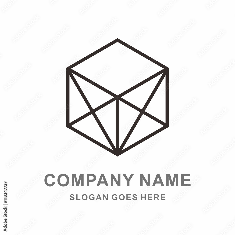 Fototapeta premium Geometric Hexagon Triangle Line Vector Logo Template