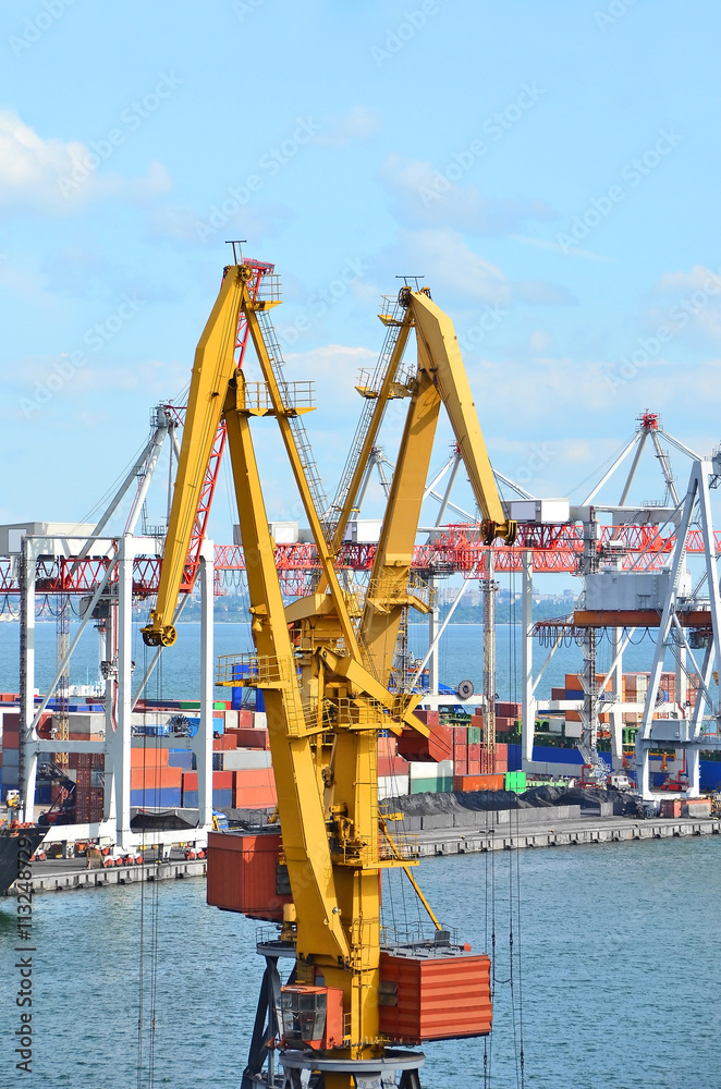 Port cargo crane and container