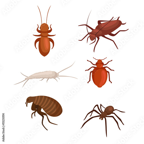 Pest control concept with insects exterminator silhouette flat vector illustration