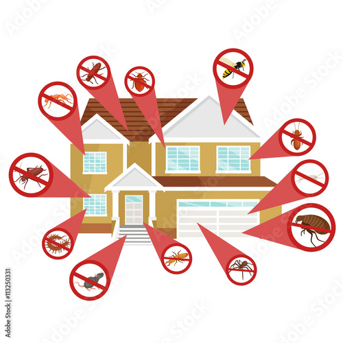 Pest control concept with insects exterminator silhouette flat vector illustration