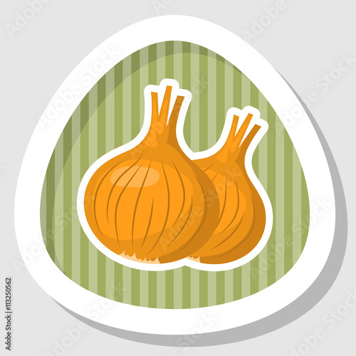 Onion colorful icon