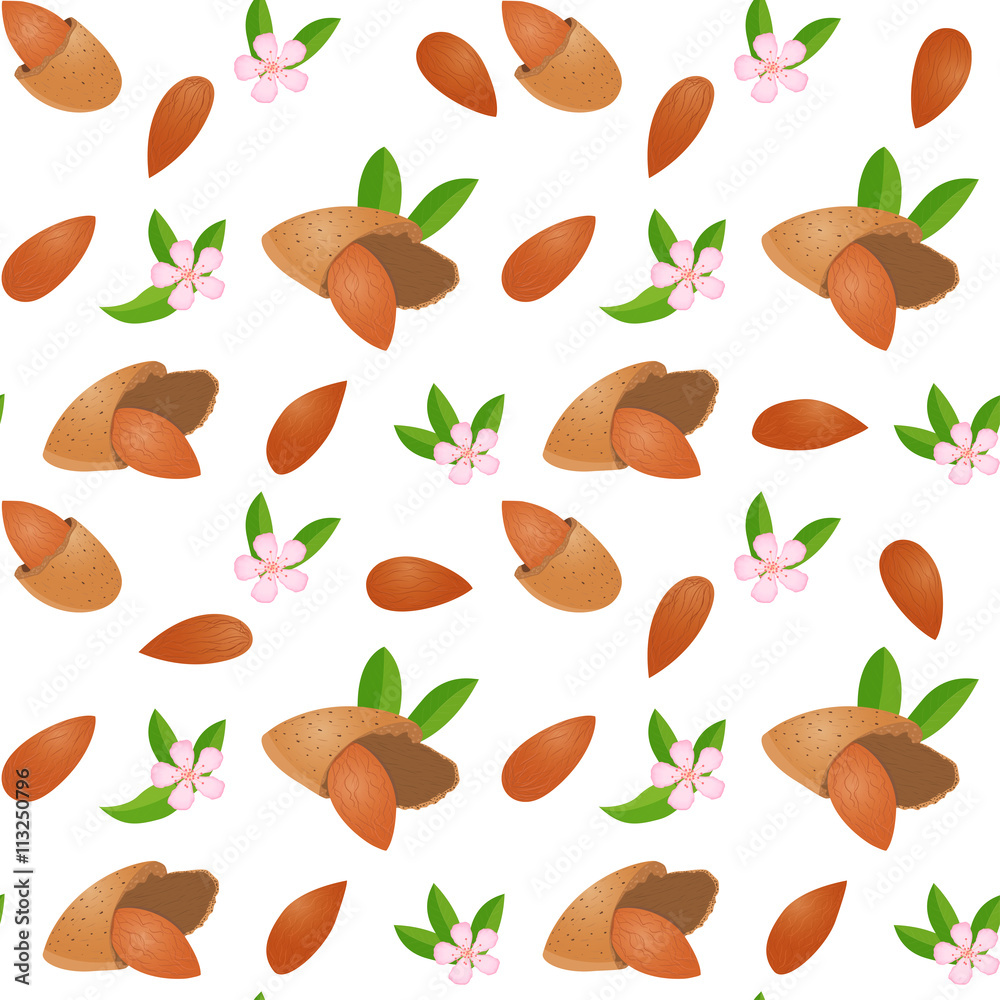 Vector seamless pattern with nuts. Appetizing, delicious background shelled almonds, in shell, leaves and flower. Element for design packages almond confectionery, perfumes and other products