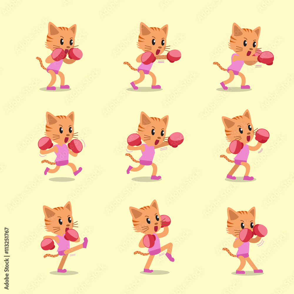 Cartoon character cat doing kickboxing workout set