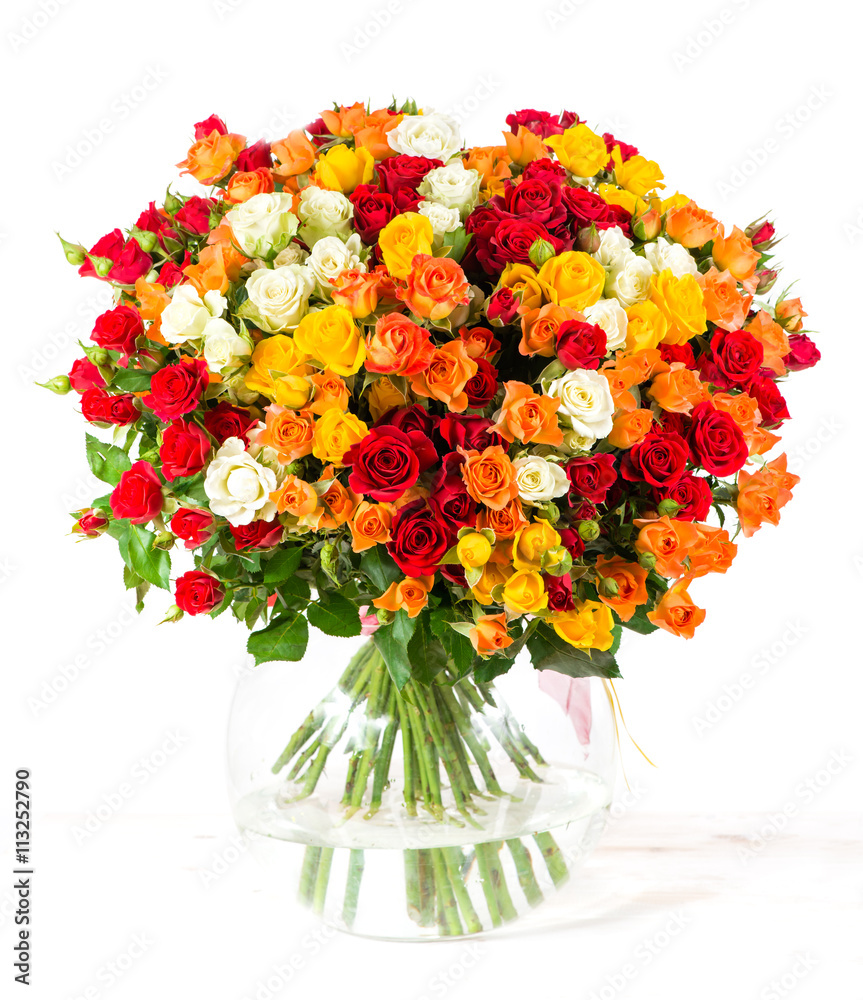 colorful shrub rose bouquet isolate on white colorful shrub rose bouquet isolate on white