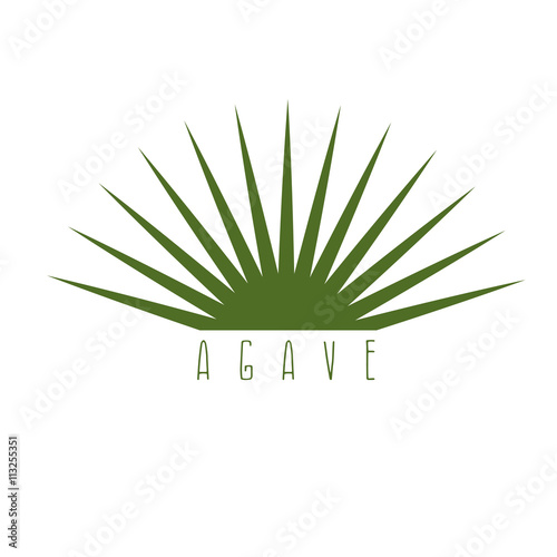 vector design template of the agave plant