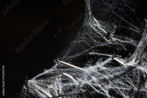 Abstract Spiderweb on black