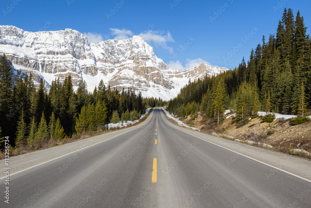 Road Trip in the Rocky Mountains. Picture taken in Icefields Pkwy, Alberta, Canada, near Banff.