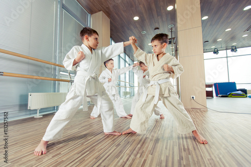 young, beautiful, successful multi ethical kids in karate position