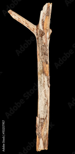 Tree stick