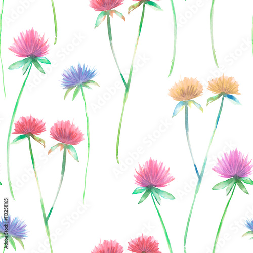 Fototapeta Naklejka Na Ścianę i Meble -  Seamless floral pattern with clover flower, painted in watercolor on a white background