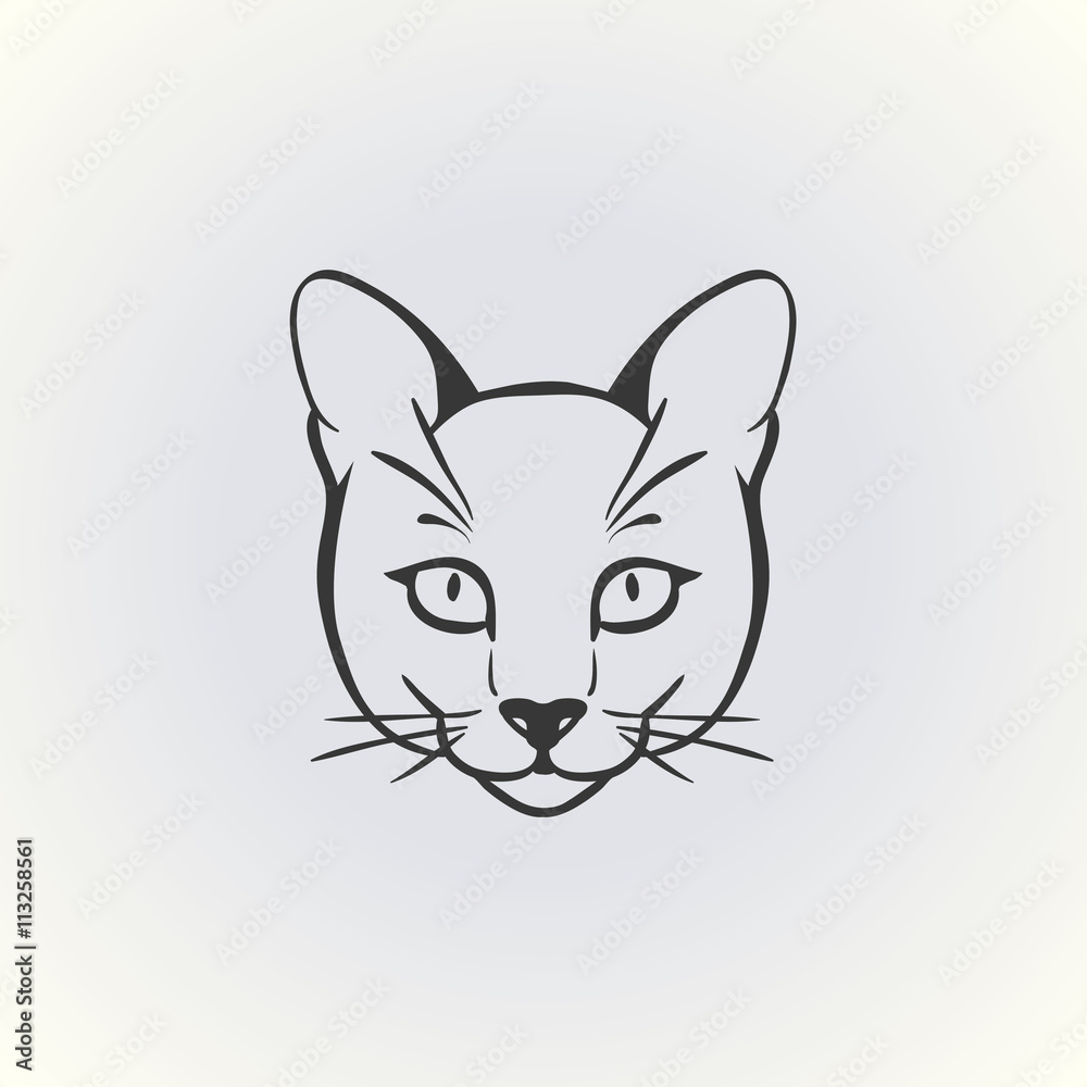 Fototapeta premium Cat (head) illustration vector
