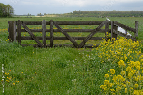 Fence in meadow