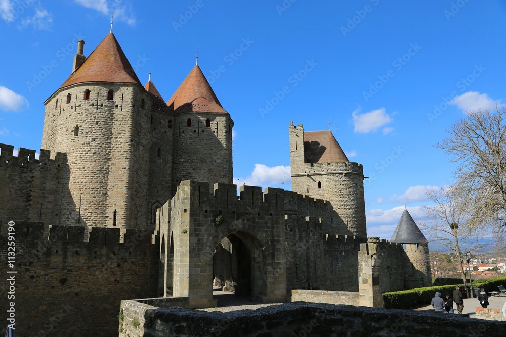 Carcassonne, Burg, Festung, Languedoc Roussillion, Frankreich - obrazy, fototapety, plakaty 