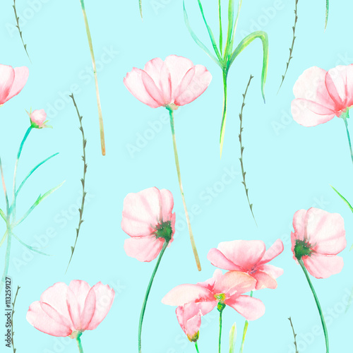 A seamless floral pattern with watercolor hand-drawn tender pink cosmos flowers  painted on a mint background