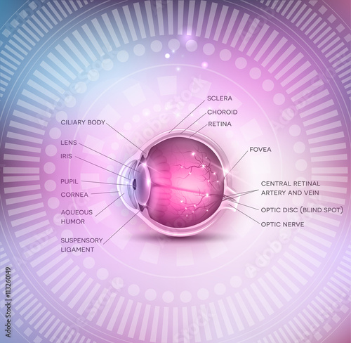 Normal eye anatomy on a beautiful colorful mesh background