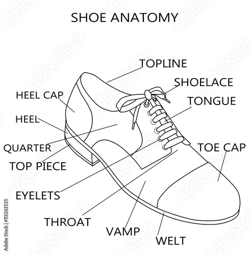 Fashion Illustration - Raster Illustration of the anatomy of a shoe

