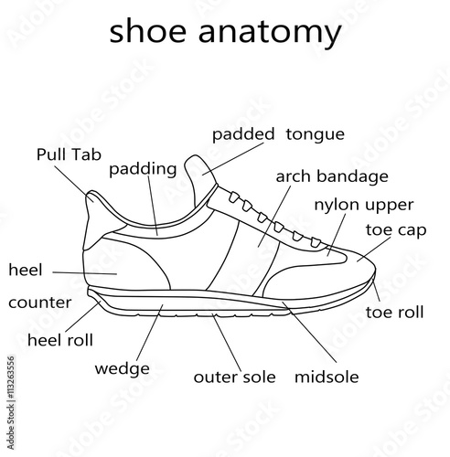 Fashion Illustration - Raster Illustration of the anatomy of a shoe

