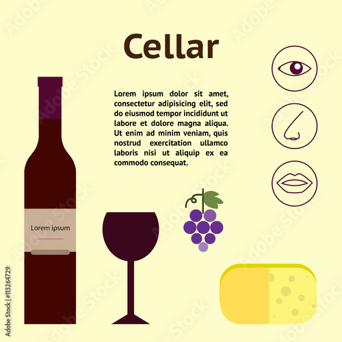 Wine cellar decorative vector illustration