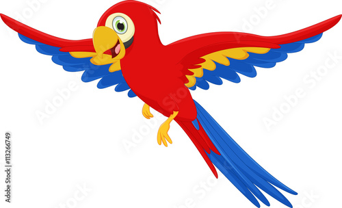 cute macaw bird cartoon flying
