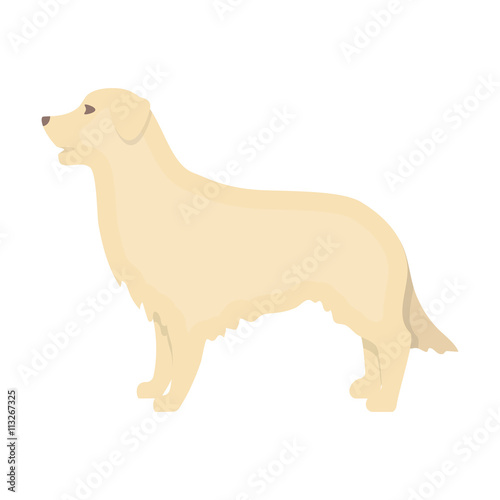 Retriever vector icon in cartoon style for web
