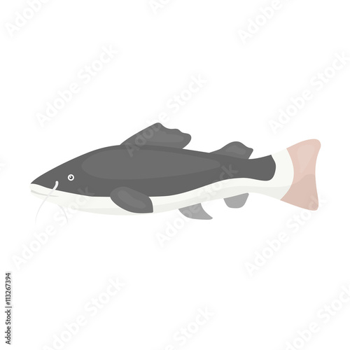 Phractocephalus hemioliopterus fish icon cartoon. Singe aquarium fish icon from the sea,ocean life set.