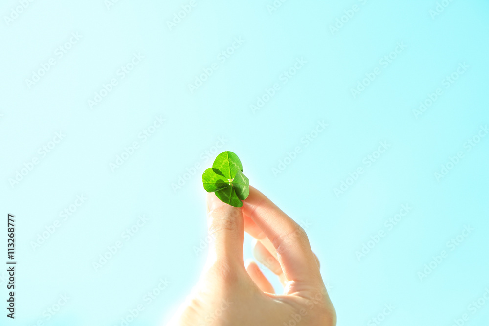 Female hand holding clover leaves on blue sky background Female hand holding clover leaves on blue sky background