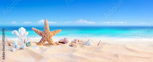 Golden Sand With Seashell And Starfish - Tropical Seashore 