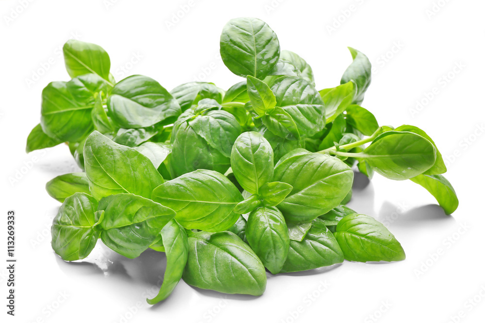 Basil leaves, isolated on white Basil leaves, isolated on white