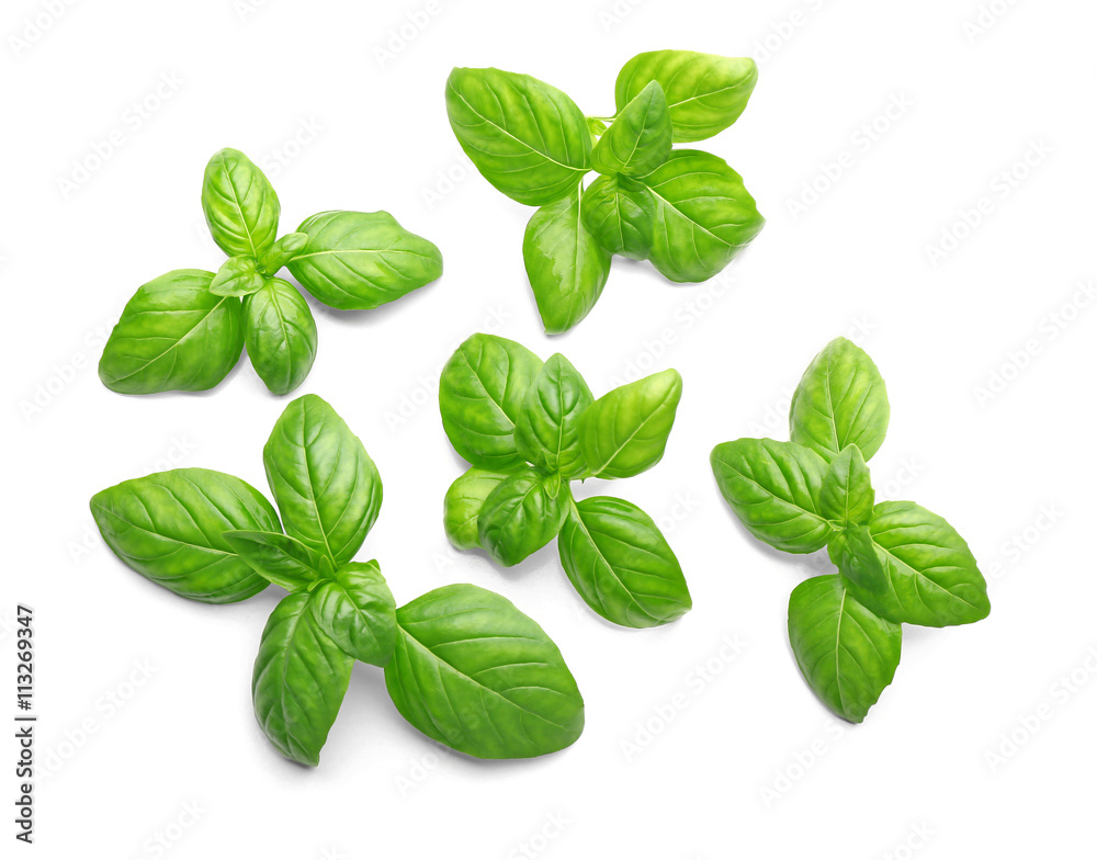 Basil leaves, isolated on white Basil leaves, isolated on white