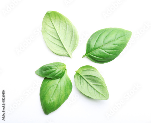 Basil leaves, isolated on white © Africa Studio